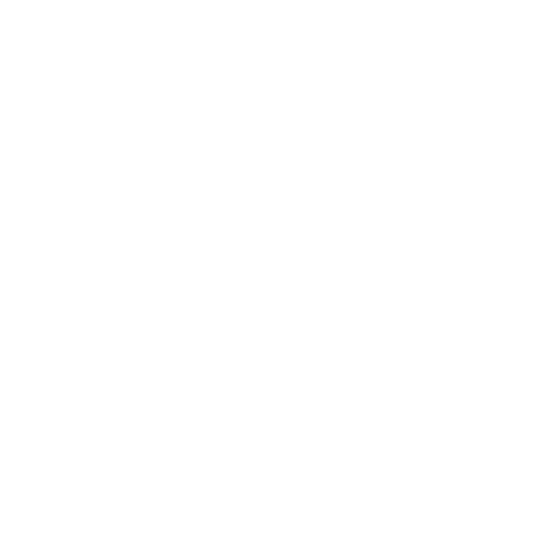 Proj timeline white